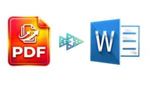 pdf to word picture